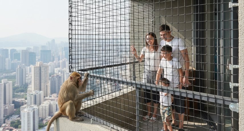 Monkey Safety Nets Installation in Karimnagar