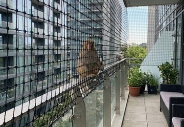 Terrace monkey protection net in Karimnagar