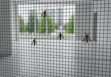 Window mosquito net in Vijayawada