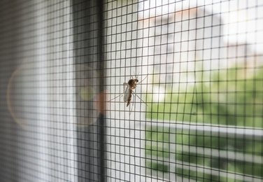 Door mosquito screen in Vijayawada