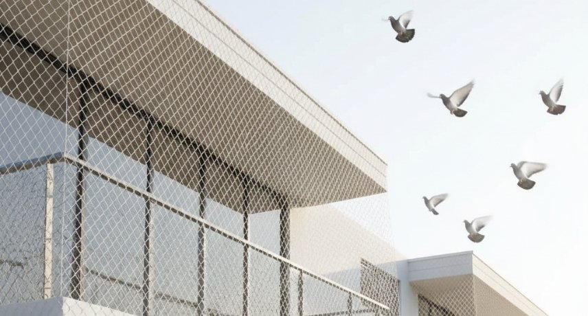 Pigeon Safety Nets Installation in Vijayawada