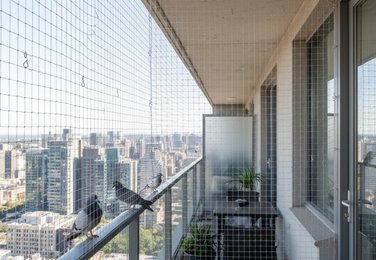 Balcony pigeon net in Vijayawada