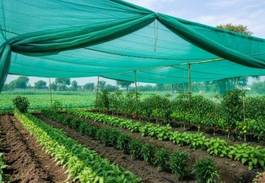 Garden shade net in Karimnagar