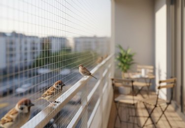 Balcony sparrow net in Vijayawada